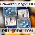 Black Stallion 9000 viagra5